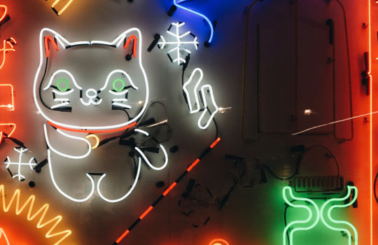 Japanese Neon Signs